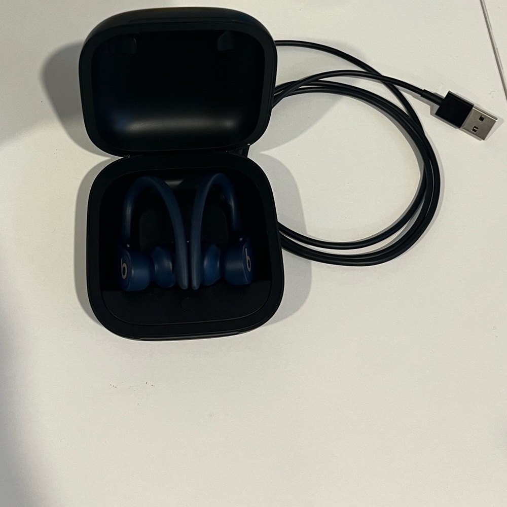 Beats by Dr. Dre-Powerbeats Pro Totally Wireless Earbuds